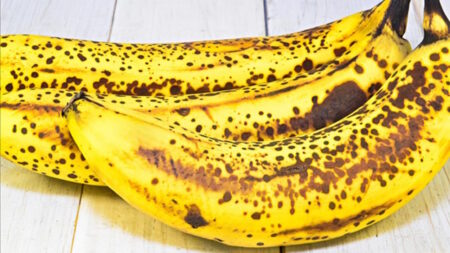 Que faire avec les bananes trop mûres : 7 idées gourmandes anti-gaspillage Comment savoir si une banane trop mûre peut encore être consommée