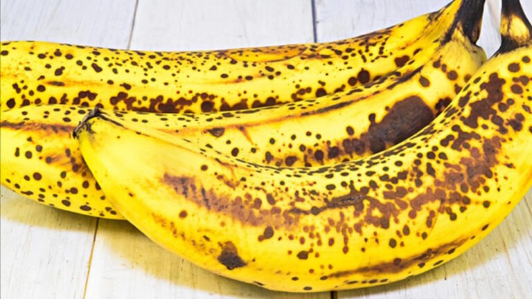 Que faire avec les bananes trop mûres : 7 idées gourmandes anti-gaspillage Comment savoir si une banane trop mûre peut encore être consommée