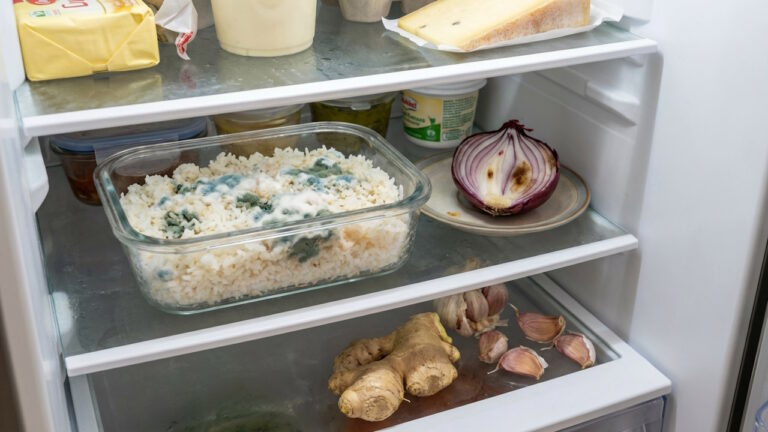 Les aliments que l’on conserve souvent mal sans le savoir Les aliments que l'on conserve souvent mal sans le savoir