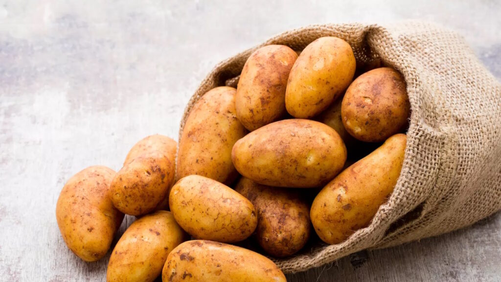 Les pommes de terre exposées à la lumière