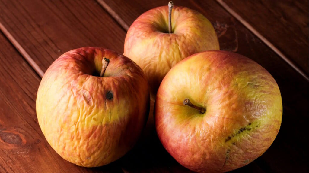 Les pommes un peu fripées sont idéales pour les compotes