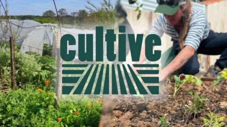 Le pari d’une agriculture à taille humaine, rentable et vivable avec Cultive Cultive : une agriculture à taille humaine, rentable et vivable