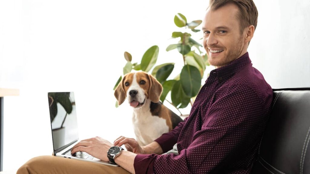 freelance travaille domicile chien
