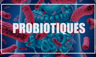 probiotiques